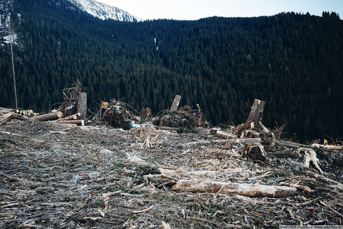 Escursione a Obereggen, Passo Lavazè, Malga Ora