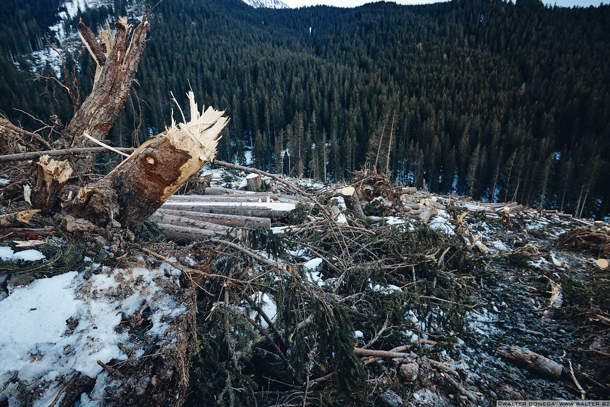 Escursione a Obereggen, Passo Lavazè, Malga Ora