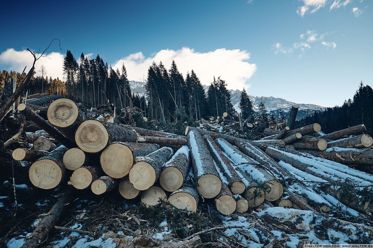 Escursione a Obereggen, Passo Lavazè, Malga Ora
