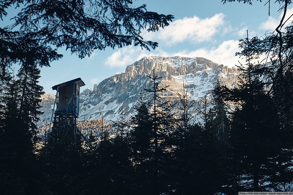 Escursione a Obereggen, Passo Lavazè, Malga Ora