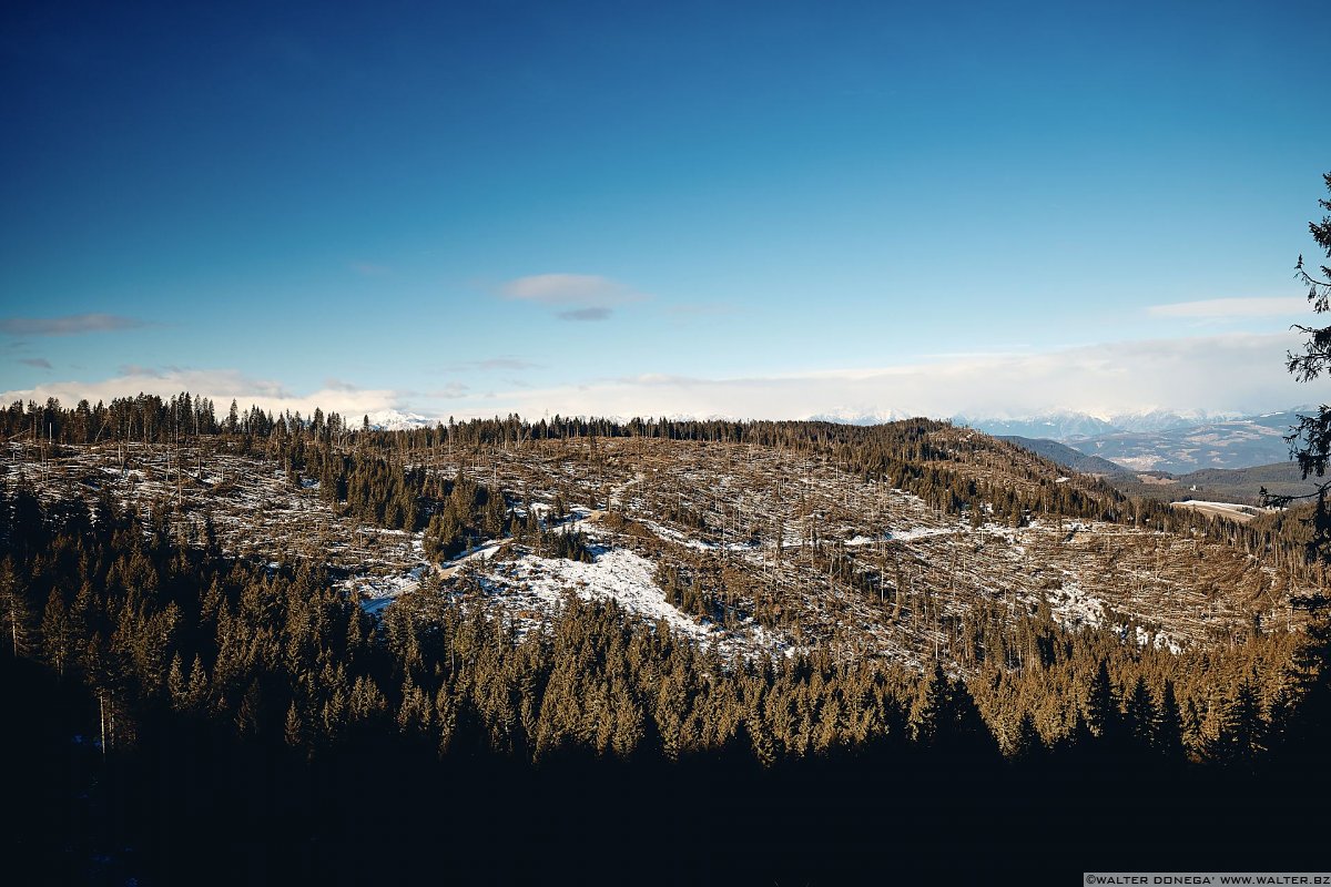 Escursione a Obereggen, Passo Lavazè, Malga Ora