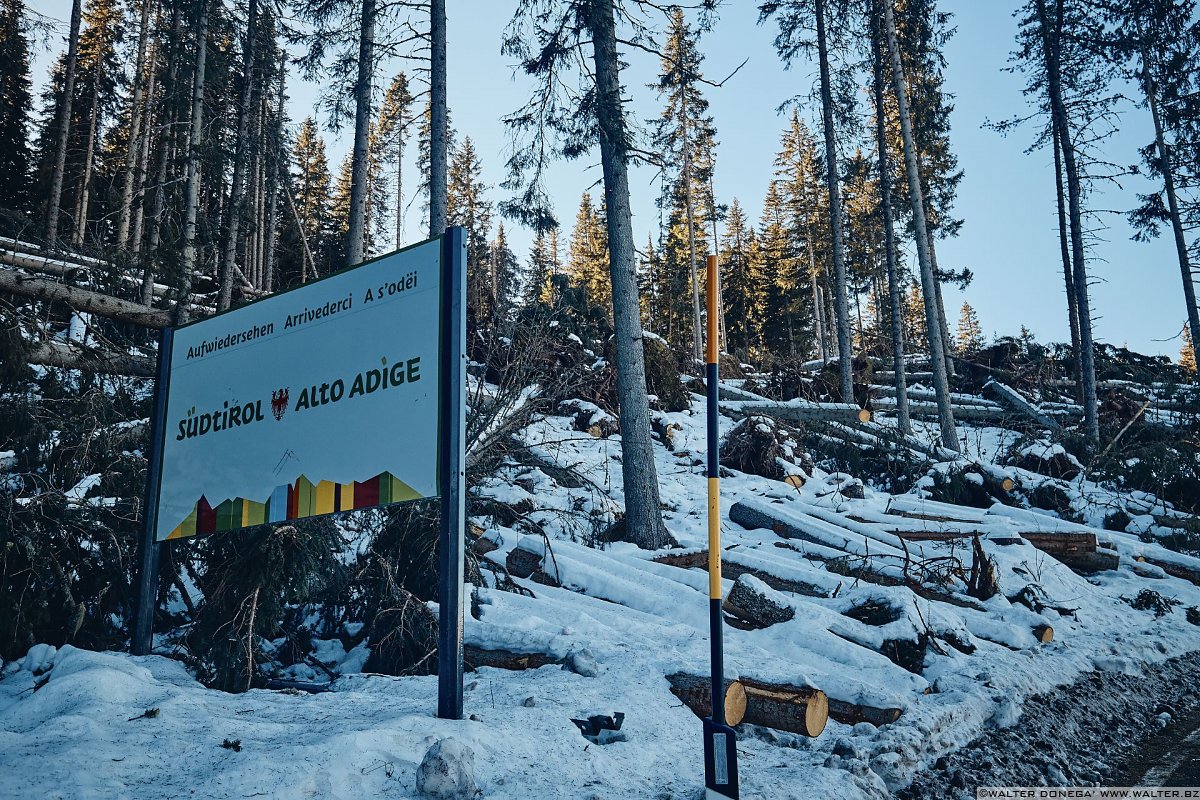 Escursione a Obereggen, Passo Lavazè, Malga Ora