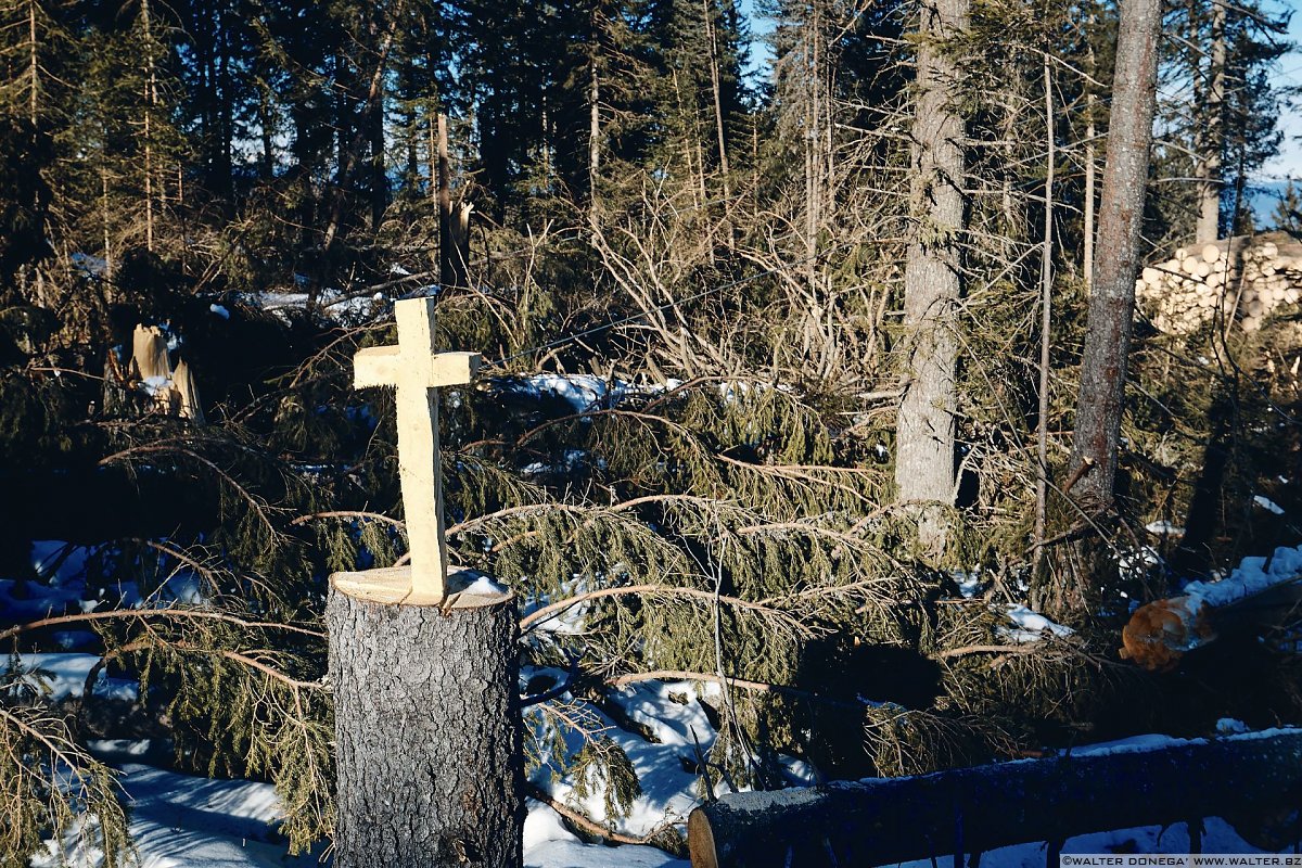 Escursione a Obereggen, Passo Lavazè, Malga Ora