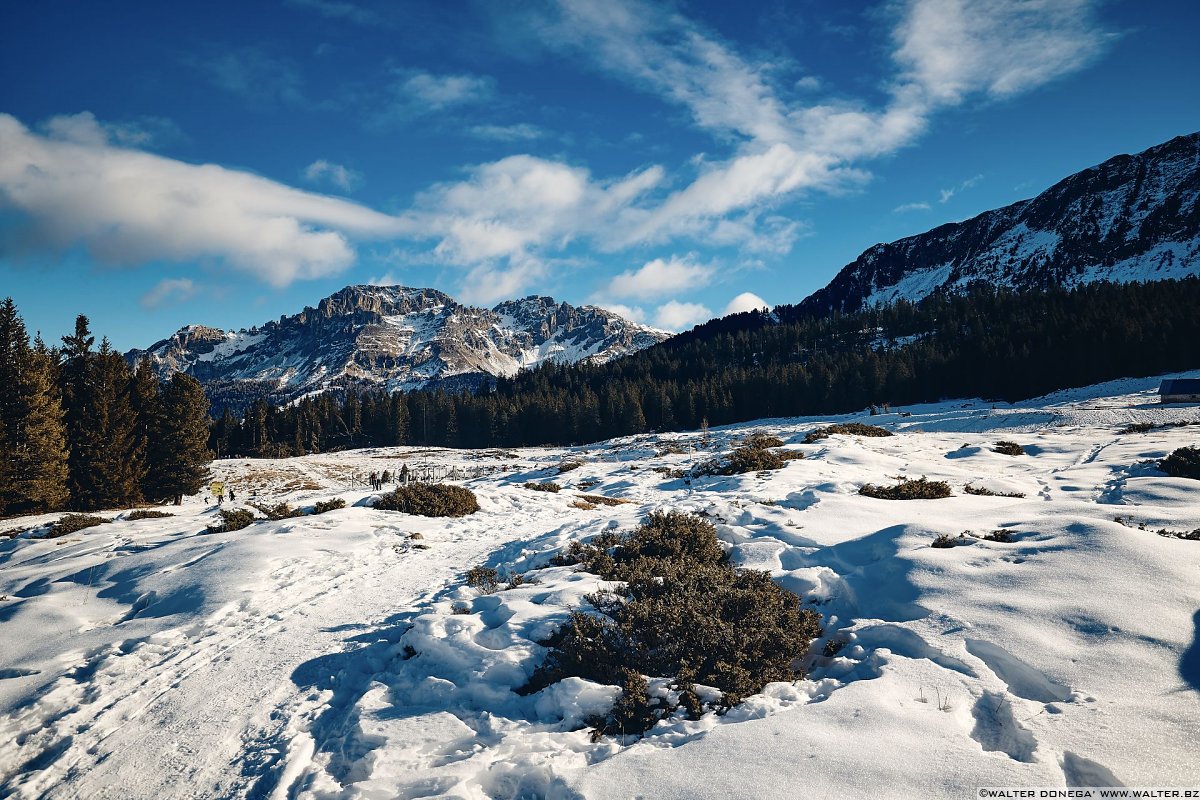 Escursione a Obereggen, Passo Lavazè, Malga Ora