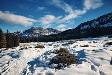 Escursione a Obereggen, Passo Lavazè, Malga Ora