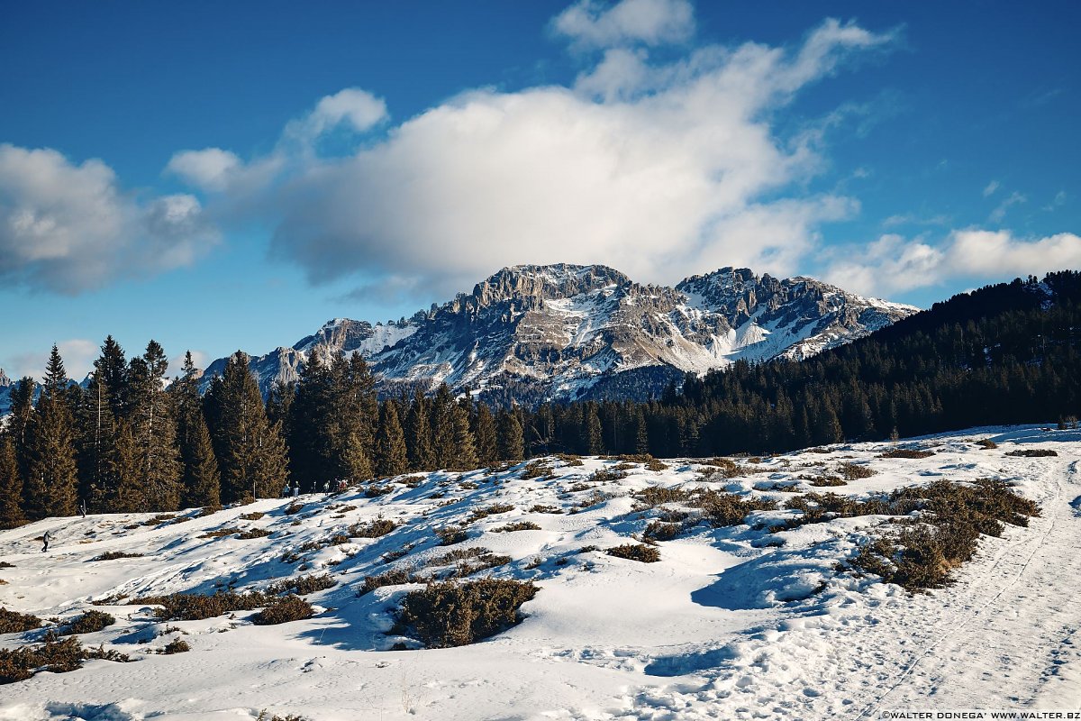 Escursione a Obereggen, Passo Lavazè, Malga Ora