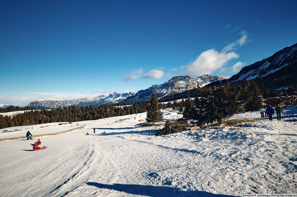 Escursione a Obereggen, Passo Lavazè, Malga Ora