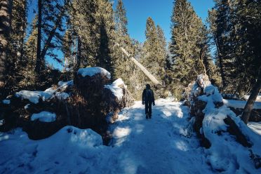 Escursione a Obereggen, Passo Lavazè, Malga Ora