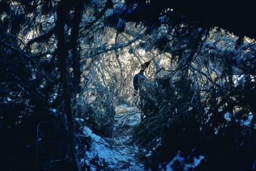 Escursione a Obereggen, Passo Lavazè, Malga Ora