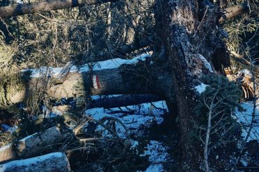 Escursione a Obereggen, Passo Lavazè, Malga Ora