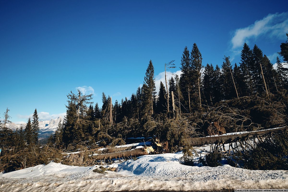 Escursione a Obereggen, Passo Lavazè, Malga Ora