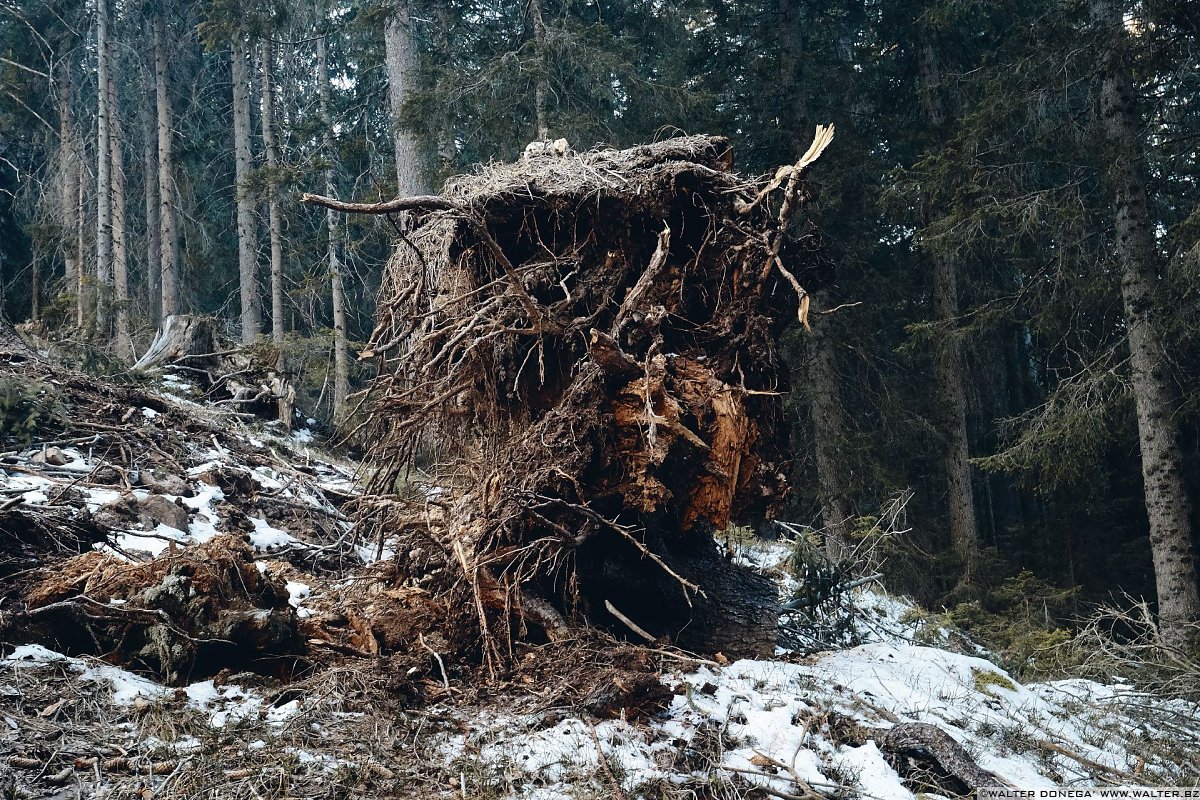 Escursione a Obereggen, Passo Lavazè, Malga Ora