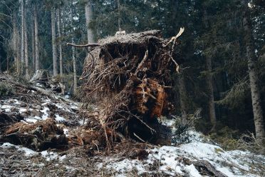 Escursione a Obereggen, Passo Lavazè, Malga Ora