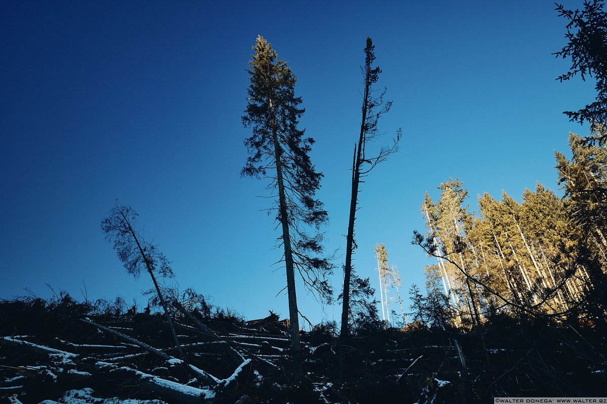 Escursione a Obereggen, Passo Lavazè, Malga Ora