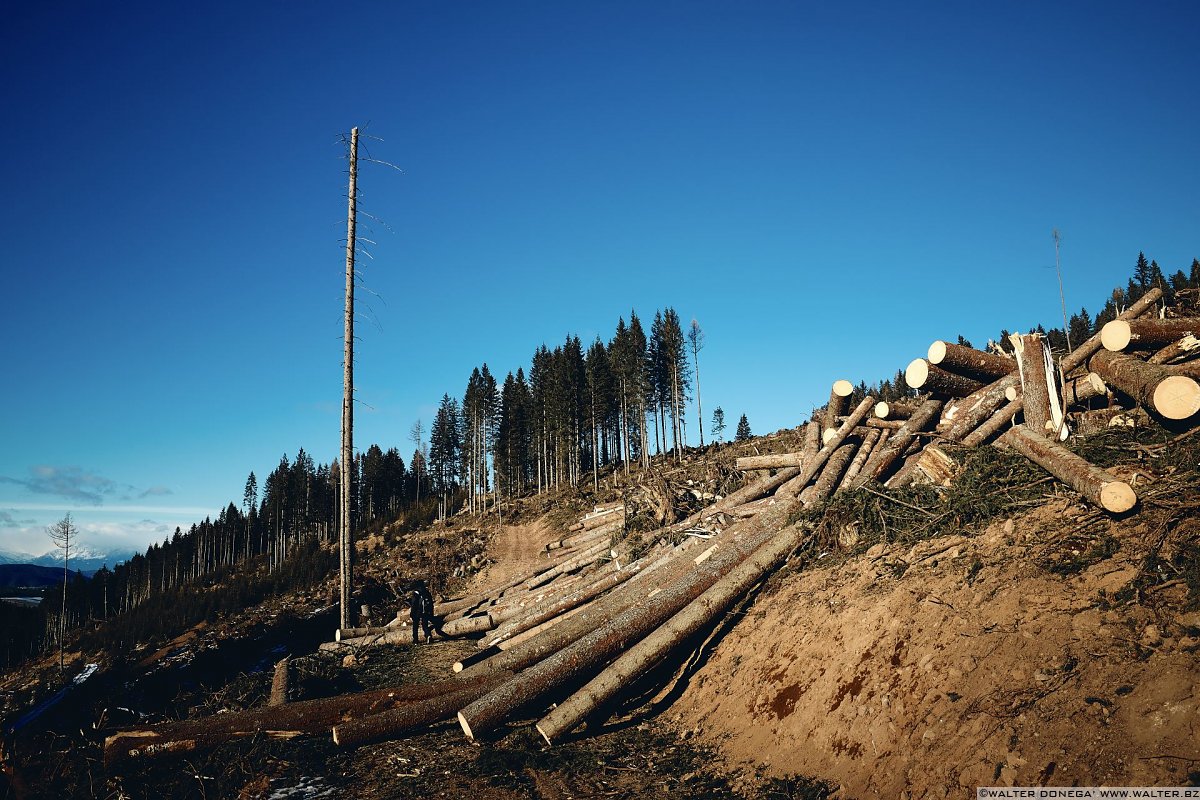 Escursione a Obereggen, Passo Lavazè, Malga Ora
