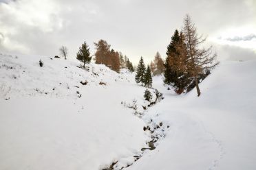 Escursione all'Alpe di Siusi con la neve