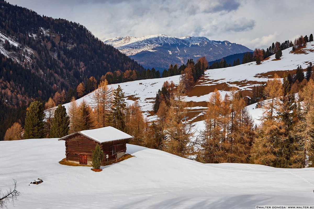  Escursione all'Alpe di Siusi con la neve