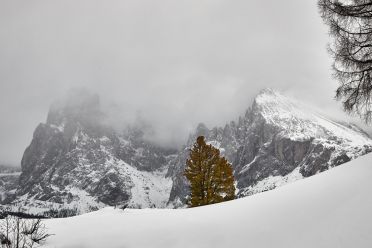 Escursione all'Alpe di Siusi con la neve