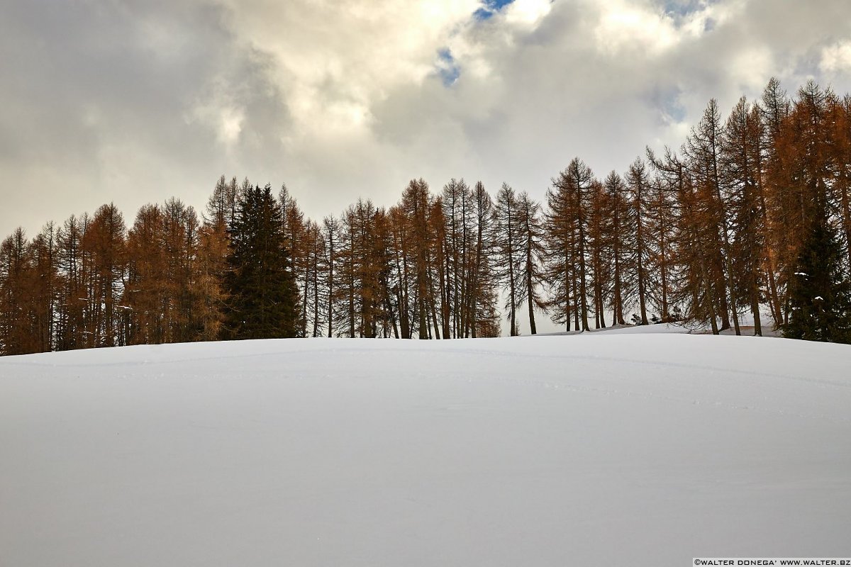  Escursione all'Alpe di Siusi con la neve