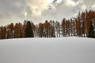 Escursione all'Alpe di Siusi con la neve