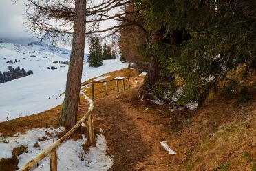 Escursione all'Alpe di Siusi con la neve