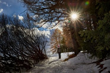 Escursione all'Alpe di Siusi con la neve
