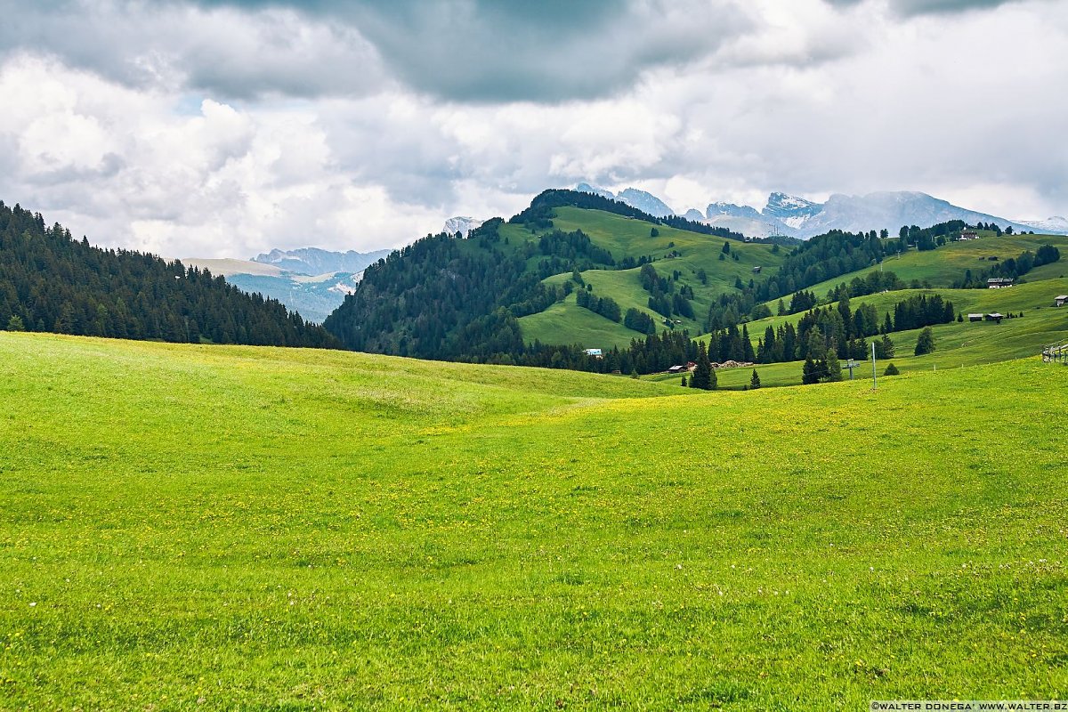  Alpe di Siusi