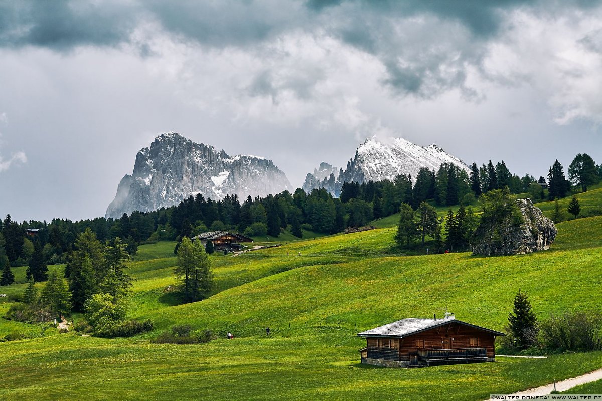  Alpe di Siusi