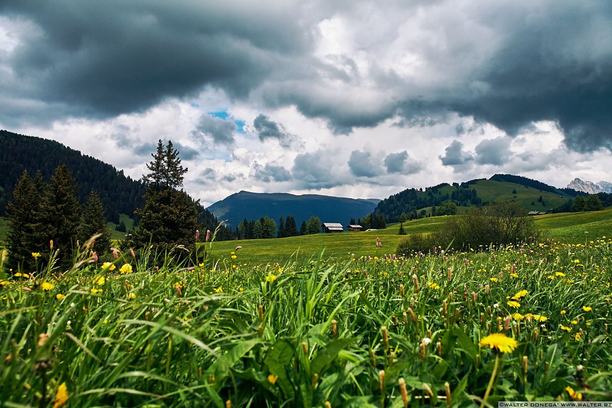  Alpe di Siusi