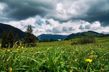 Alpe di Siusi