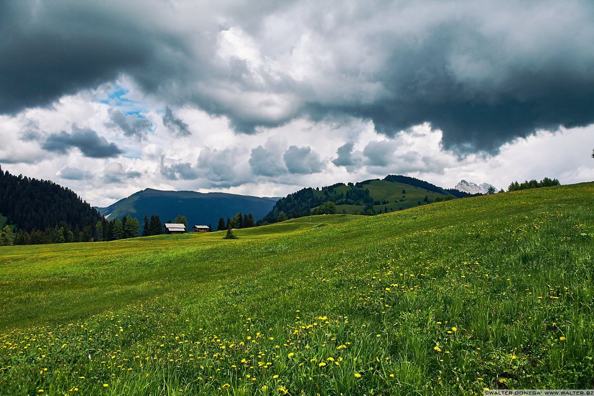  Alpe di Siusi