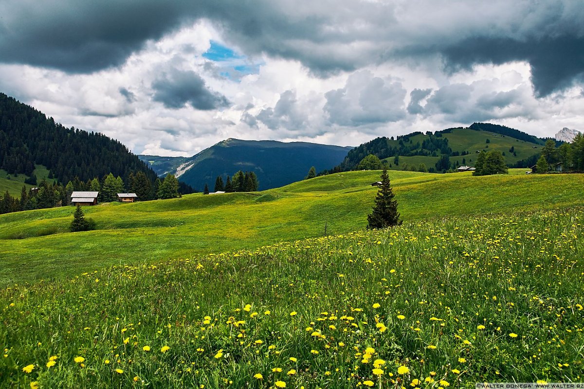  Alpe di Siusi