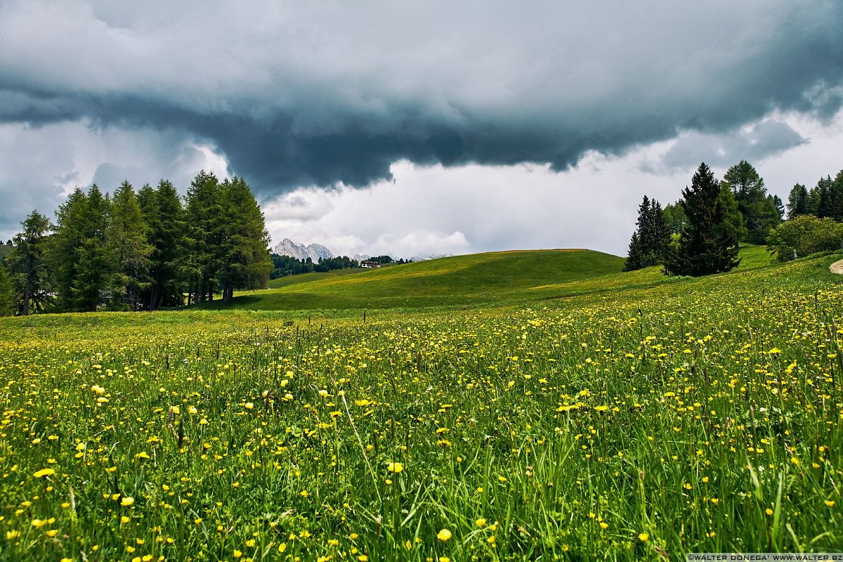  Alpe di Siusi