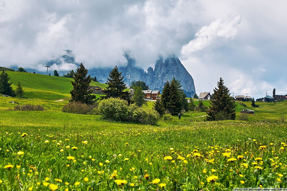  Alpe di Siusi