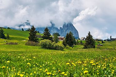 Alpe di Siusi