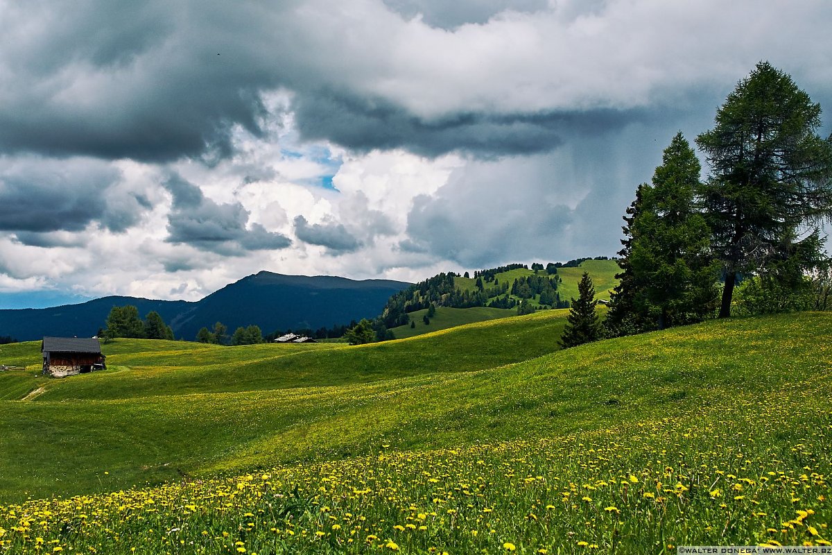  Alpe di Siusi