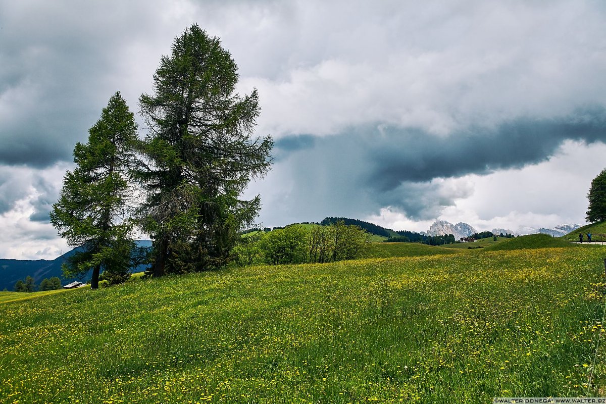  Alpe di Siusi