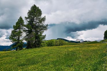 Alpe di Siusi