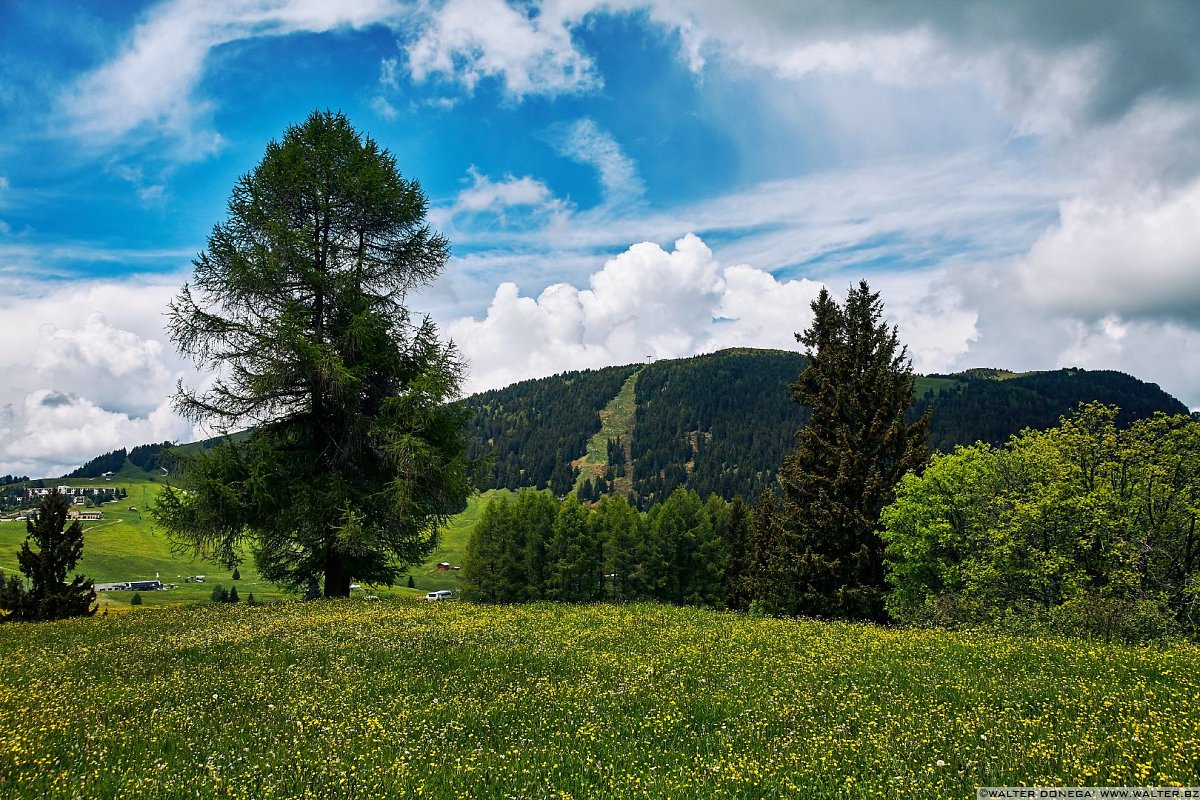  Alpe di Siusi