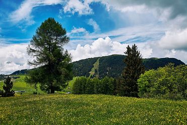 Alpe di Siusi