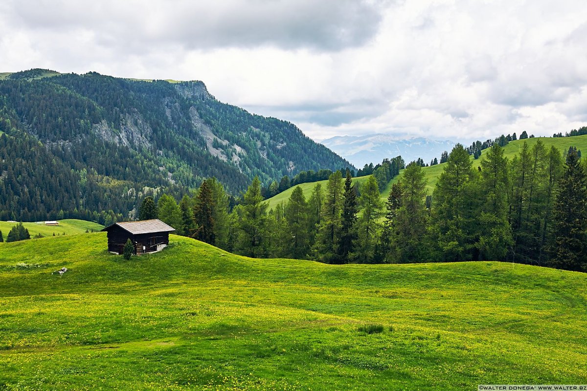  Alpe di Siusi