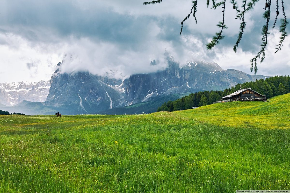  Alpe di Siusi