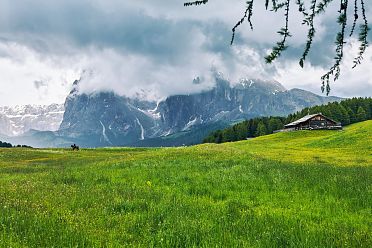 Alpe di Siusi