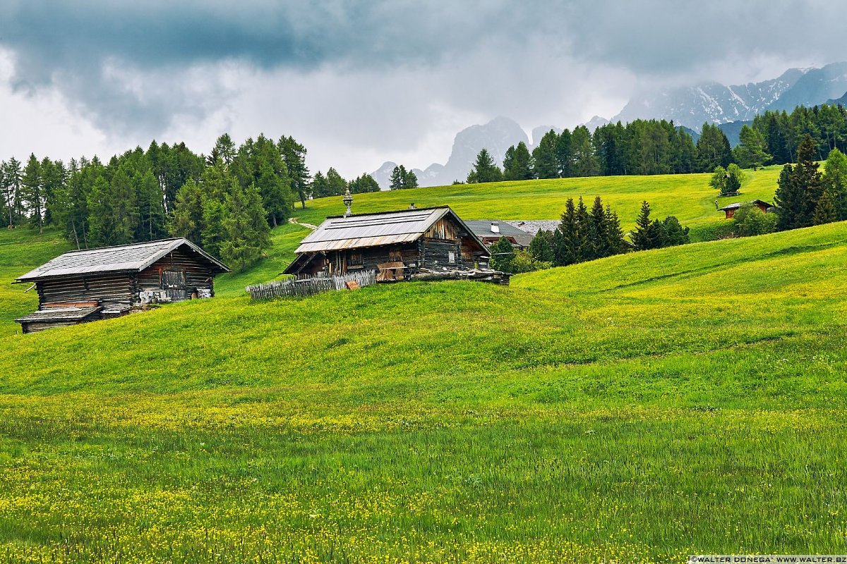  Alpe di Siusi