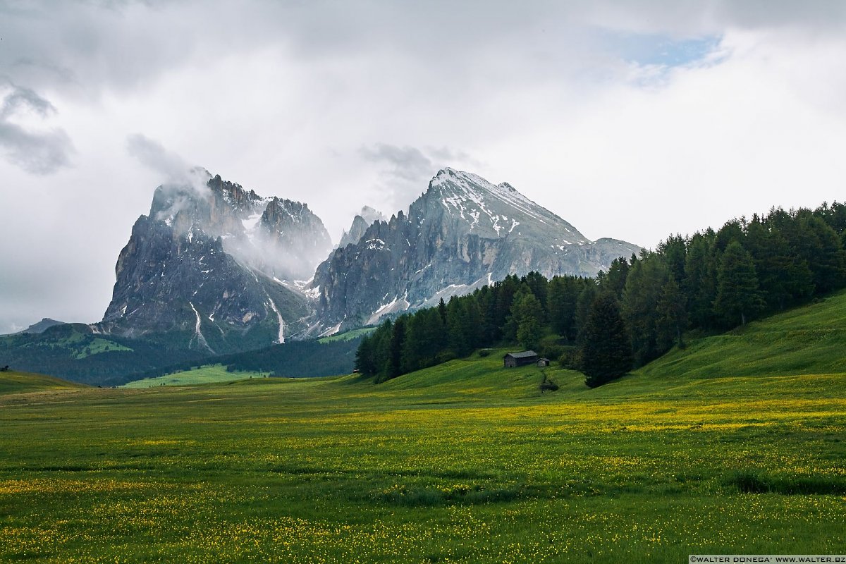  Alpe di Siusi