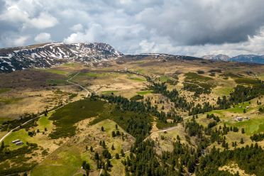 Escursione del Pino Mugo all'Alpe di Villandro