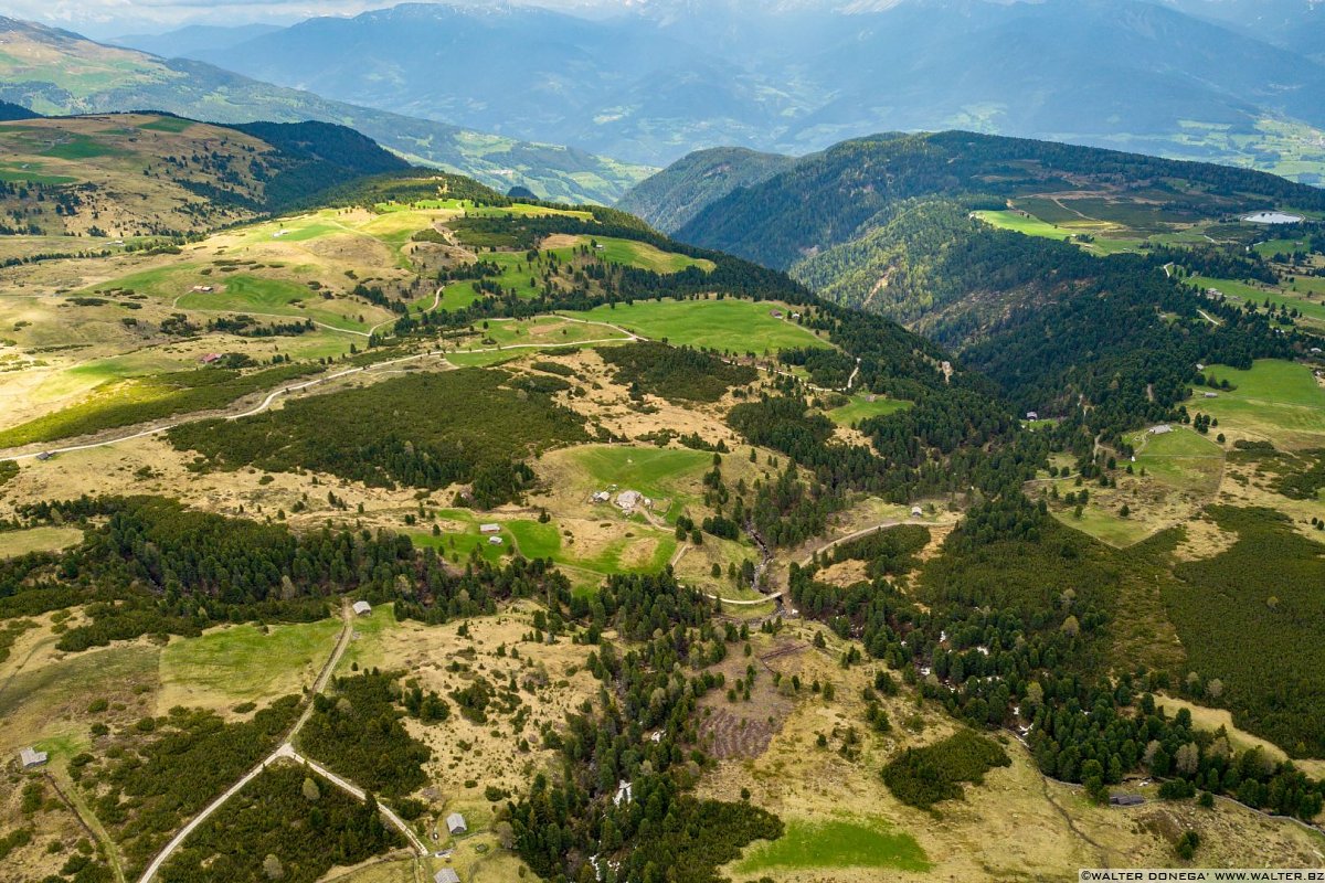 Escursione del Pino Mugo all'Alpe di Villandro