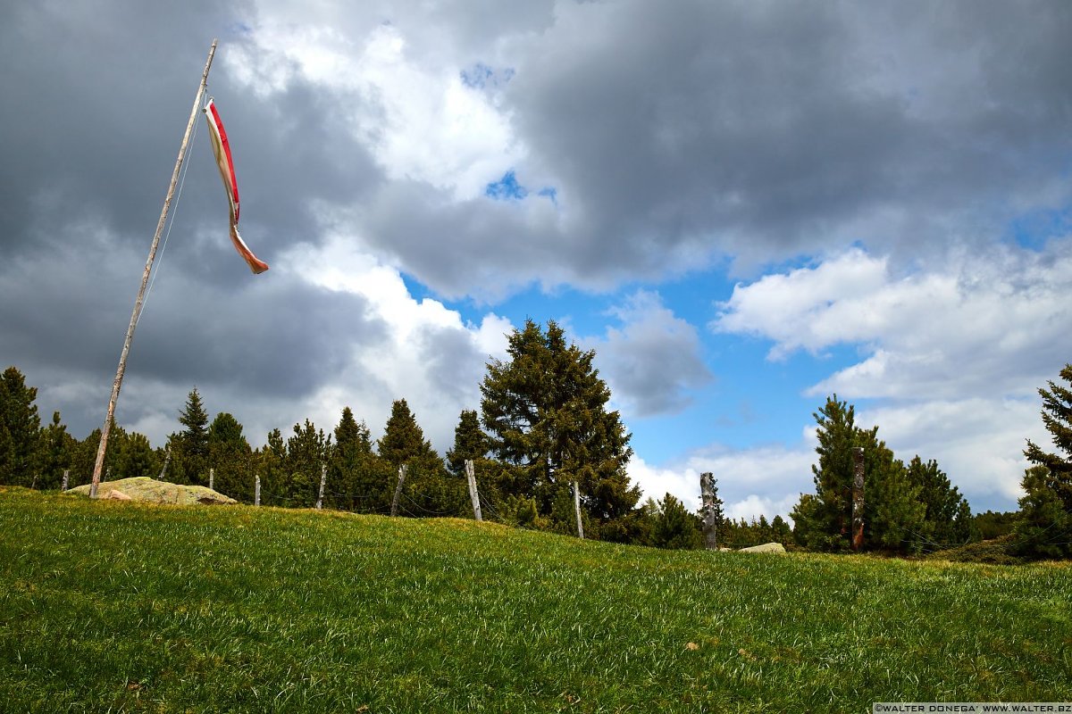 Escursione del Pino Mugo all'Alpe di Villandro