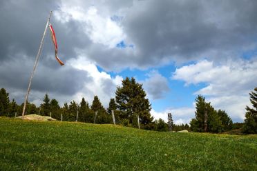 Escursione del Pino Mugo all'Alpe di Villandro