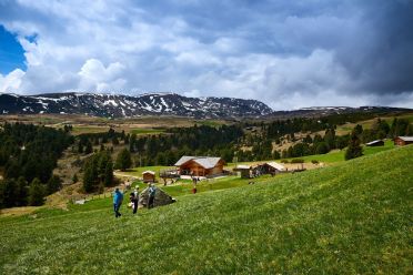 Escursione del Pino Mugo all'Alpe di Villandro